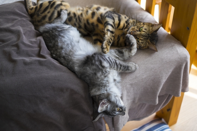 できる人はやらない ダラダラ時間をなくす方法 田舎で起業すること